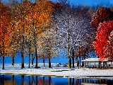 Click for preview picture of "1615711-.. (800 x 600)"